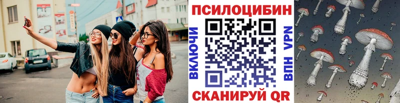 Псилоцибиновые грибы Psilocybine cubensis Баймак